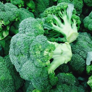 Broccoli 4pk Seedling Plant ONLY AVAILABLE IN STORE