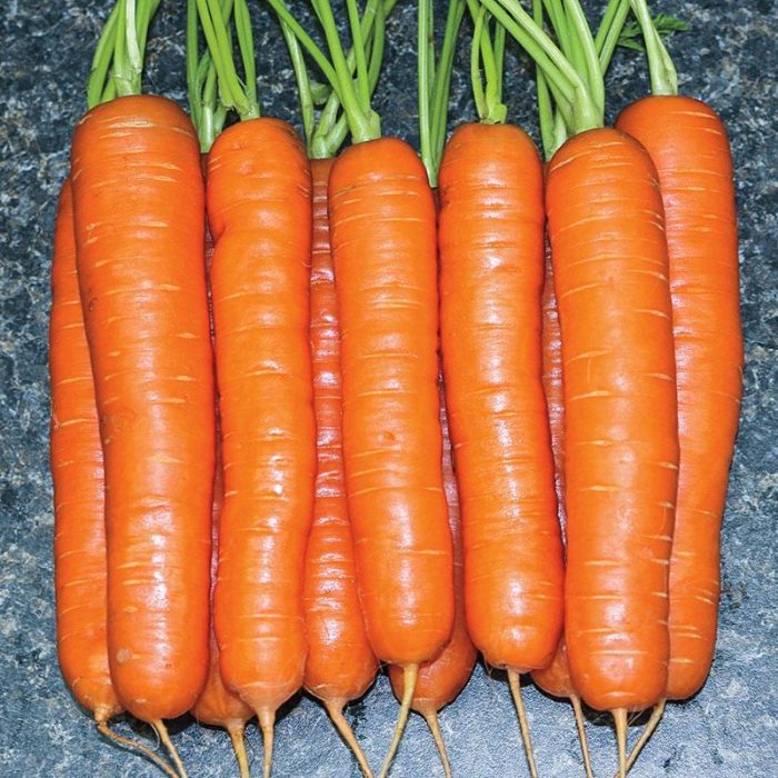 Carrots - Growers Choice (4