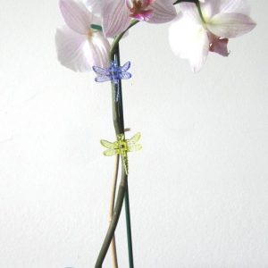 Orchid Stake And Clip Kit