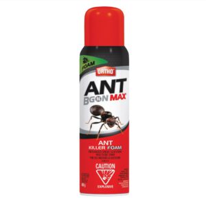 Ortho Ant B Gon Max Ant Killer Foam 400g