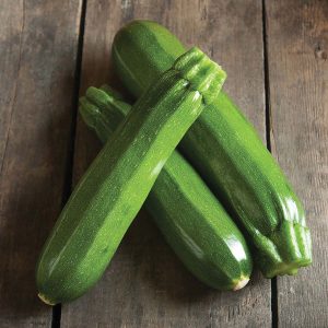 4" Zucchini - Spineless Perfection ONLY AVAILABLE IN STORE