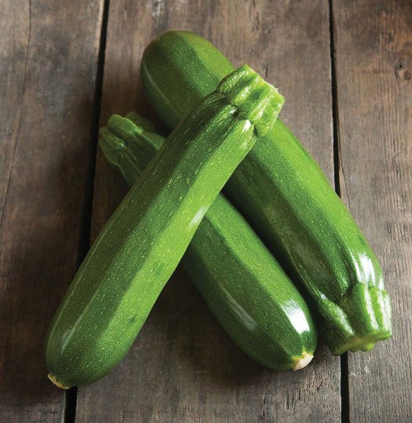 4" Zucchini - Spineless Perfection ONLY AVAILABLE IN STORE
