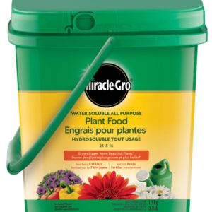 Miracle Gro All Purpose Water Soluable Plant Food