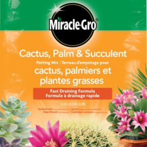 Miracle Gro Cactus Palm and Succulent Mix 8.8L