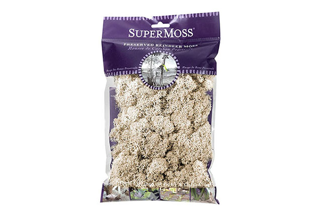 SuperMoss Reindeer Moss 2oz Bag