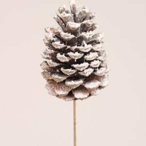 Jumbo Pinecone snow