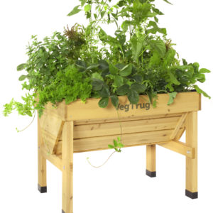 small vegetable raised garden bed natural