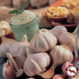 Garlic Russian Red 3/pkg