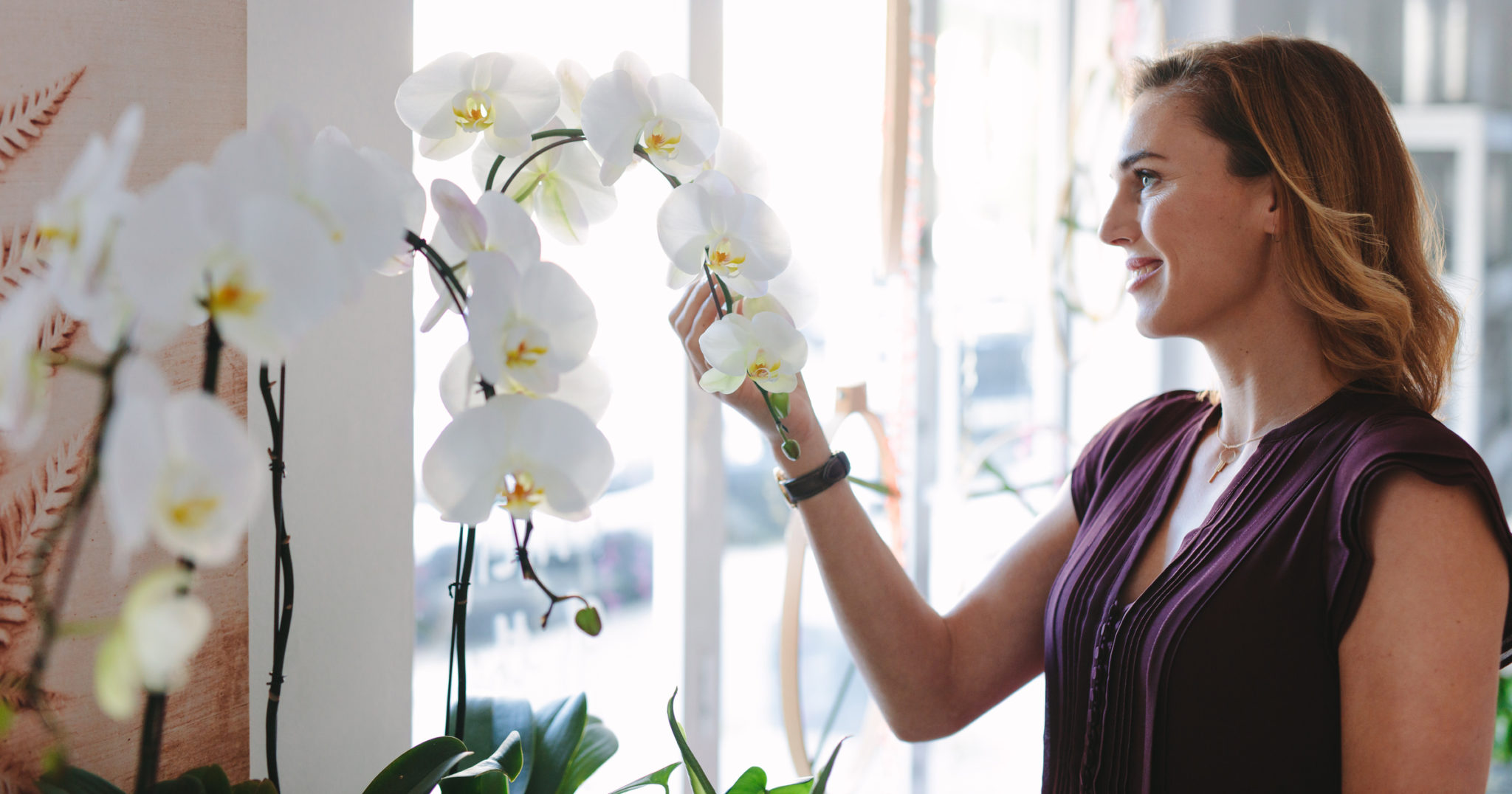 How To Grow Orchids At Home - TERRA Greenhouses