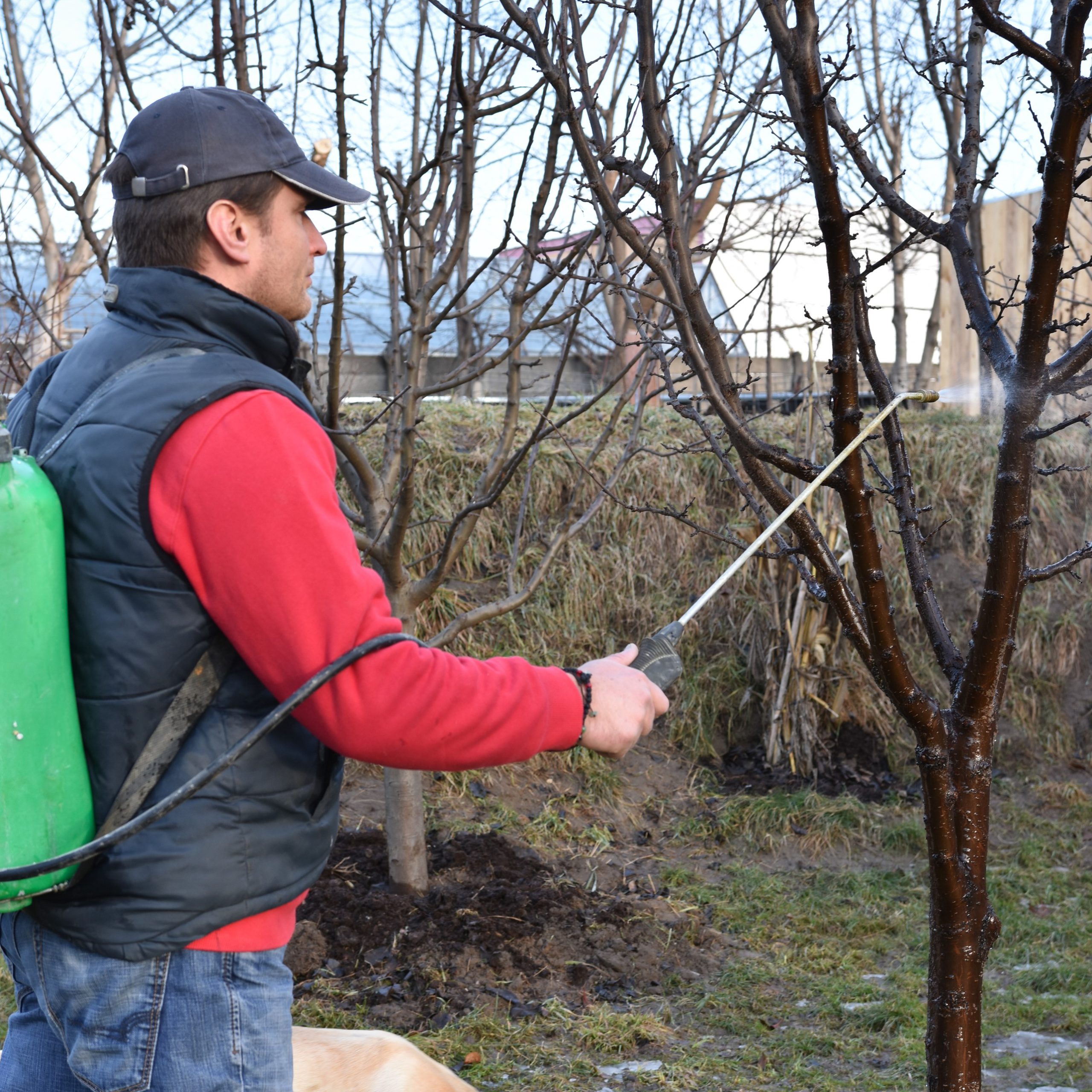 Your Early Spring Lawn & Garden Checklist TERRA Greenhouses