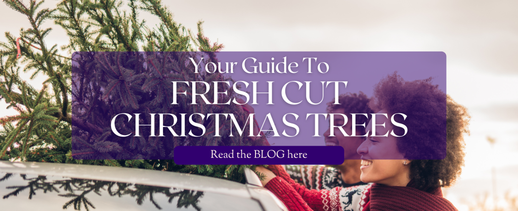 A smiling couple secure a fresh cut Christmas tree to the roof of their car.