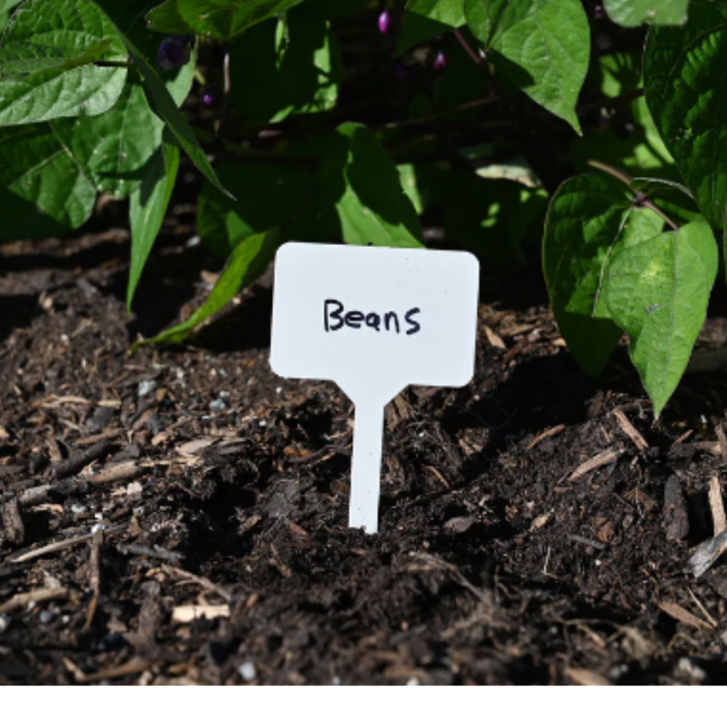 Plant Labels (10 Pack) TERRA Greenhouses