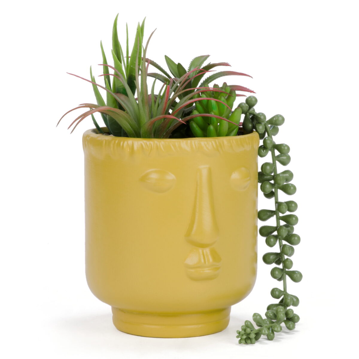 artificial-succulent-face-planter-multiple-colours-available-terra