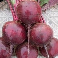 Beets Red (4 cell pack)