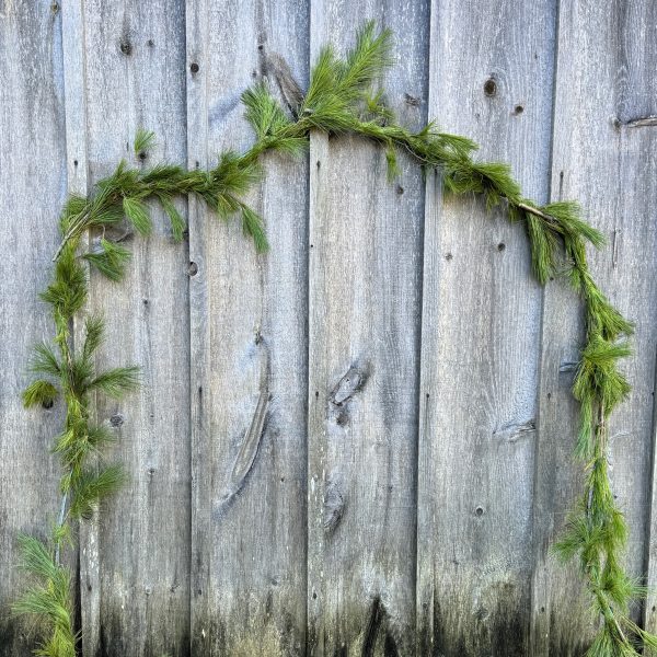 A decorative length of pine roping hangs on a grey barnboard wall outdoors.