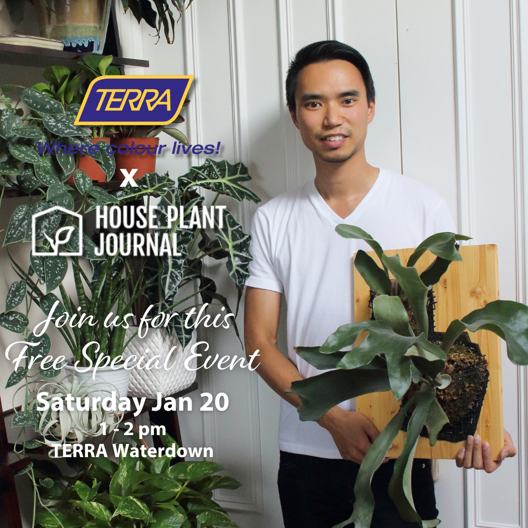 Darryl Cheng - The House Plant Journal Talk & Book Signing