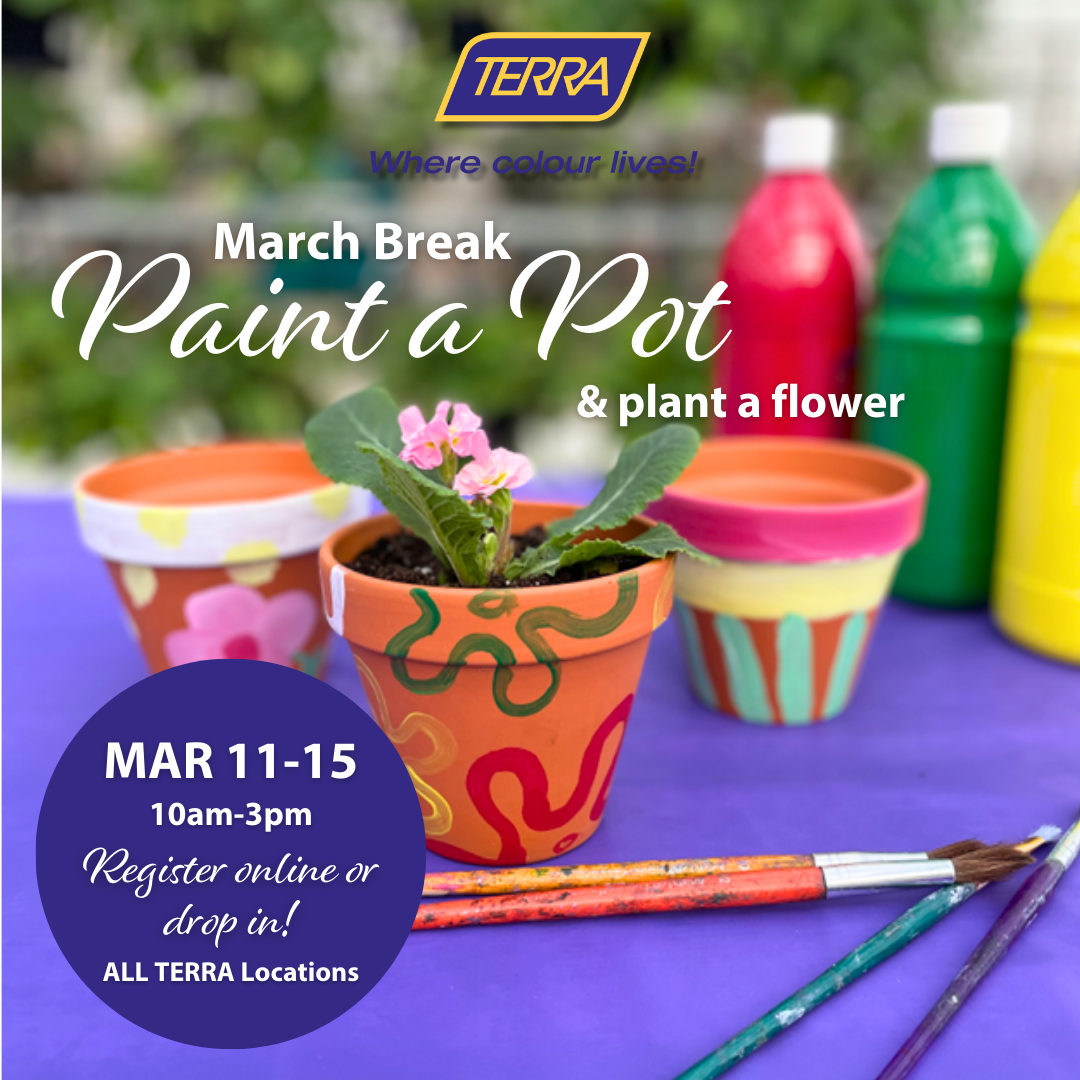 March Break Paint a Pot Event for Kids