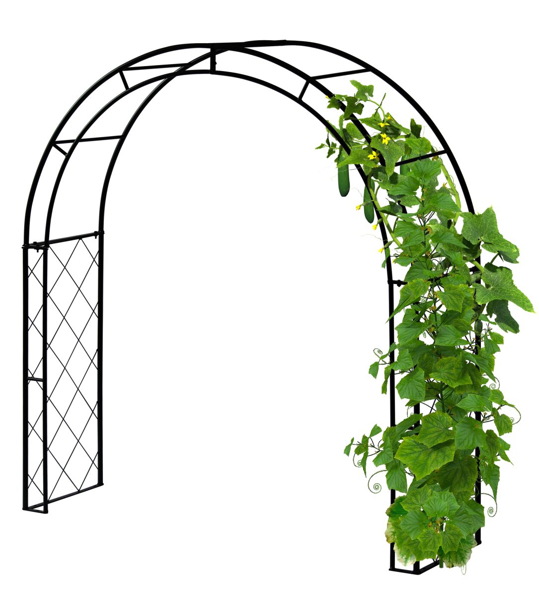 VegTrug Climbing Arch Online Exclusive TERRA Greenhouses