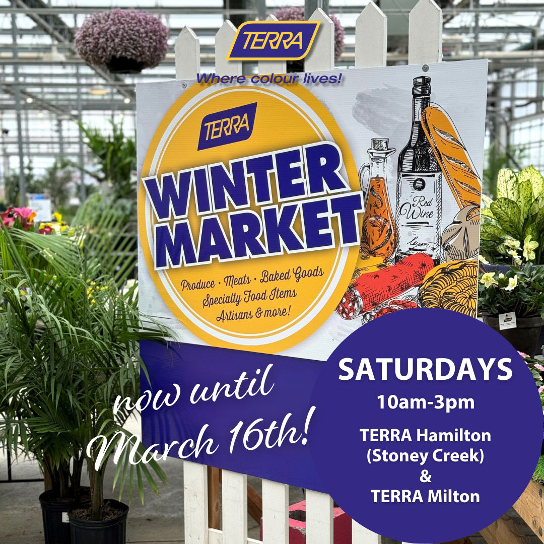 TERRA Winter Market - Saturdays 10am-3pm