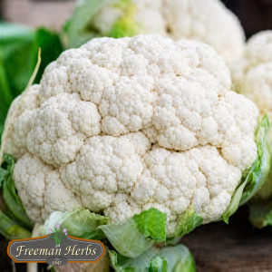 Snowball Cauliflower product image