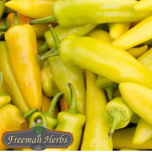 Hungarian Yellow Wax Hot Pepper product image