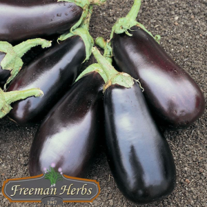 Eggplant product image