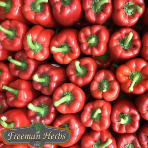 Better Belle Pepper product image