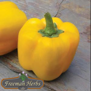 Early Summer Sweet Pepper product image