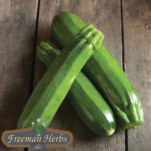 Spineless Perfection Zucchini product image