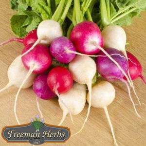 Rainbow Mix Radish product image