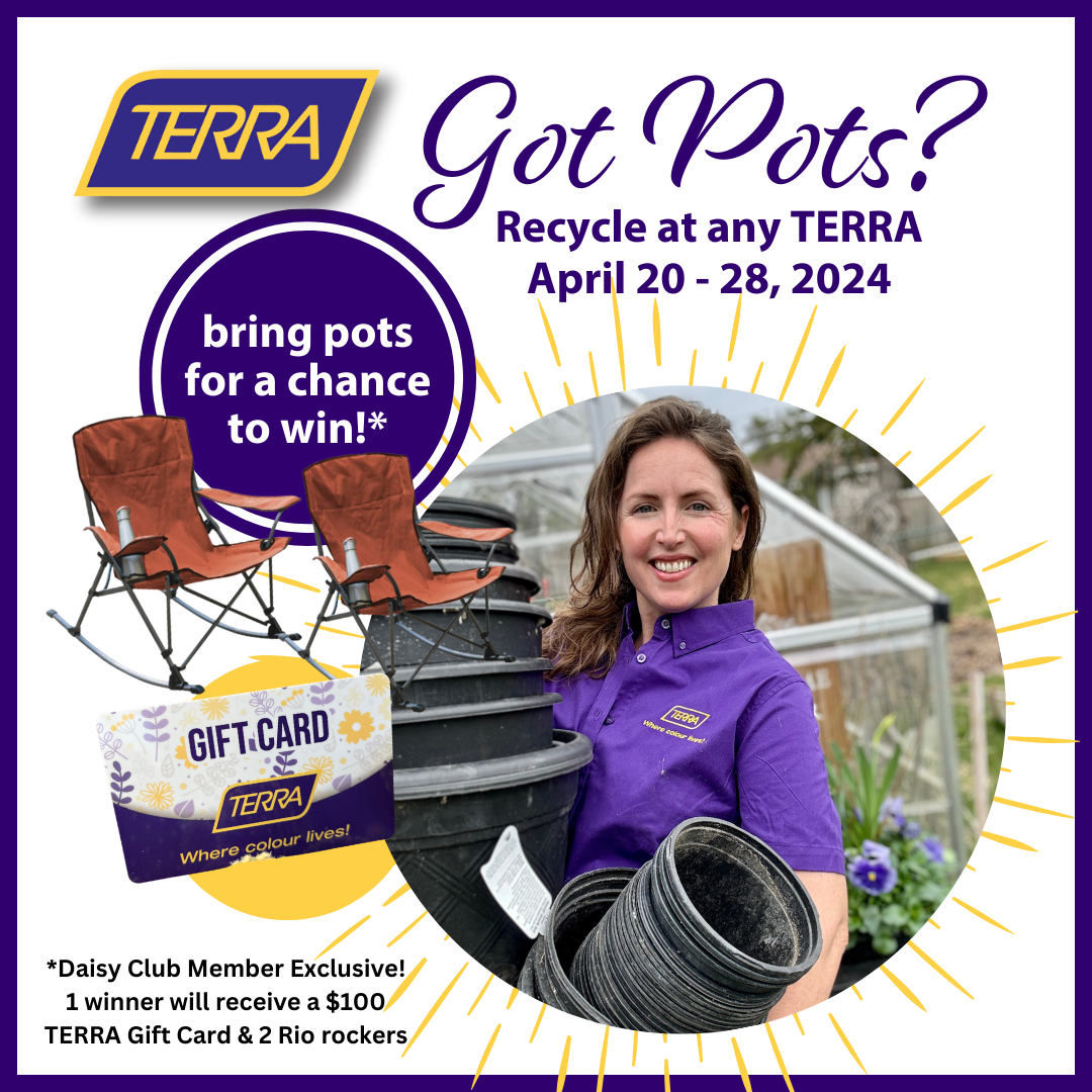 Have YOU Got Pots? Recycle them at TERRA