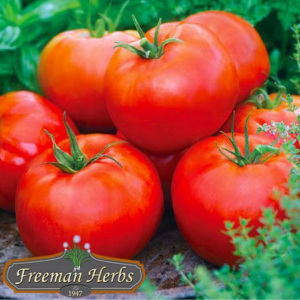 Burpee Big Boy Tomato product image