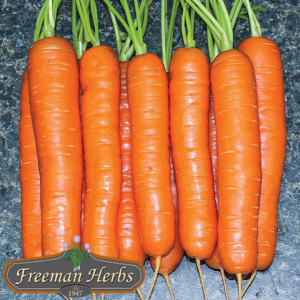 Carrots product image