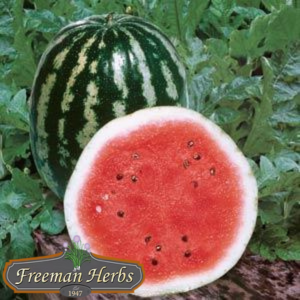 Crimson Sweet Watermelon product image