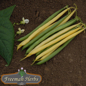 Gold n' Green Mix Bean product image