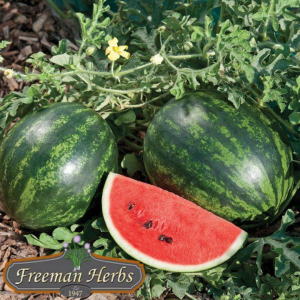 Mini Love Watermelon product image