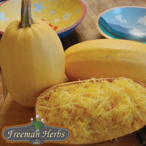 Spaghetti Squash product image