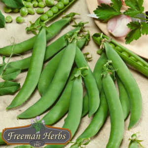 Sugar Snap Pea product image
