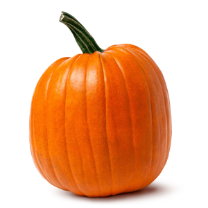 Medium Pumpkins