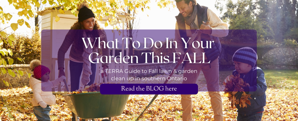 A happy family rake leaves together in a sunny yard. Text reads "What to do in your Garden this FALL - a TERRA Guide to Fall lawn & garden clean up in southern Ontario. Read the BLOG here."