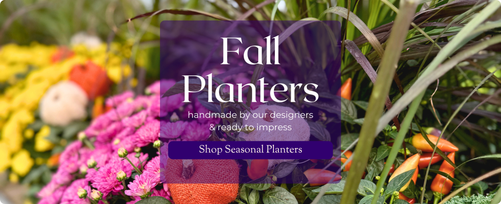 A colourful mix of fall flowers including a purple mum, dark grass, and multicoloured peppers are shown up close. Text reads 'Fall Planters handmade by our designers & ready to impress. Button: Shop Seasonal Planters.