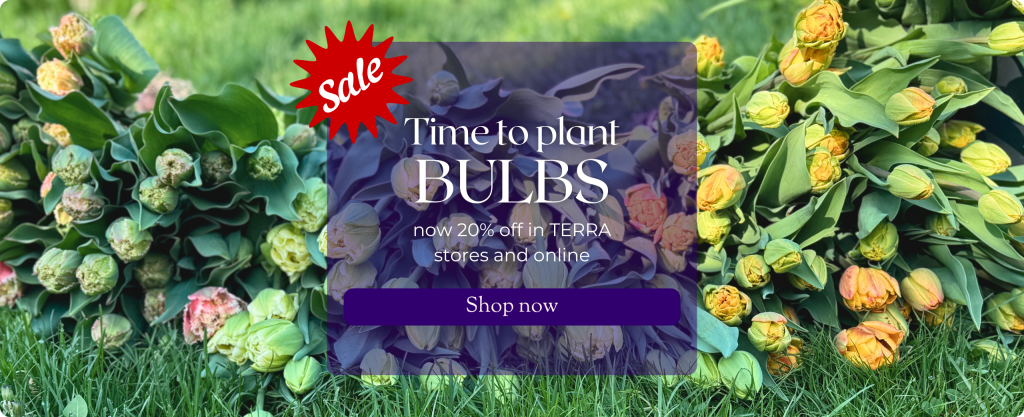 Piles of blooming tulips are shown in many colours against a backdrop of green grass. Text reads Time to Plant BULBS now 20% off in TERRA stores and online. Shop now.