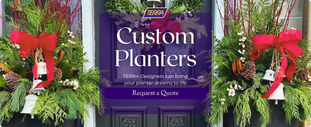 A black door is decorated with a wreath and 2 evergreen planters. Text: TERRA Custom Planters. Request a Quote.