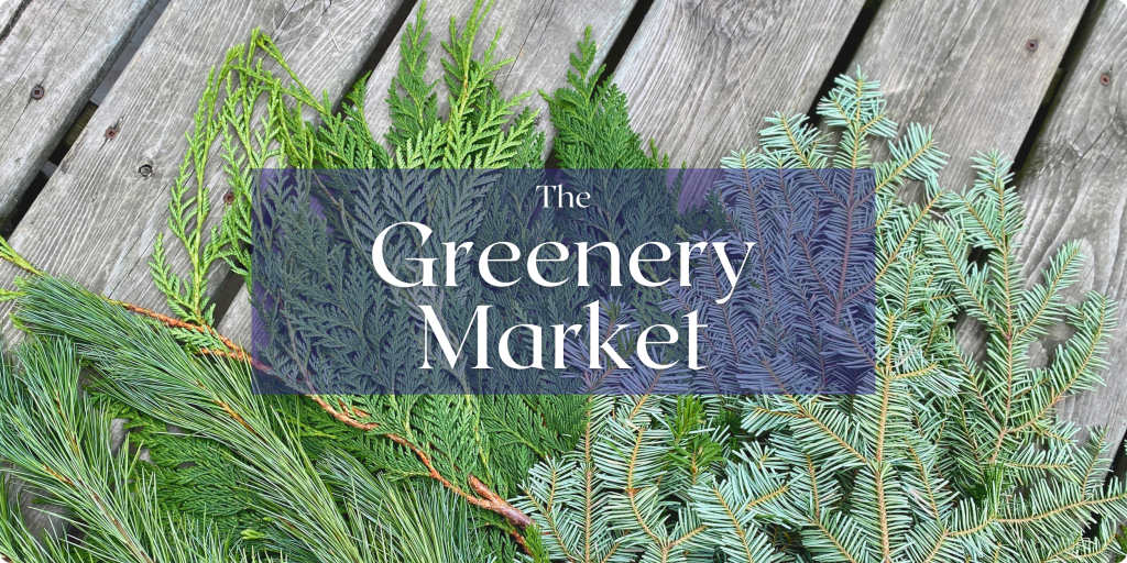 Assorted evergreen boughs including cedar, silver fir and pine, are splayed across a wood backdrop. Text: The Greenery Market.