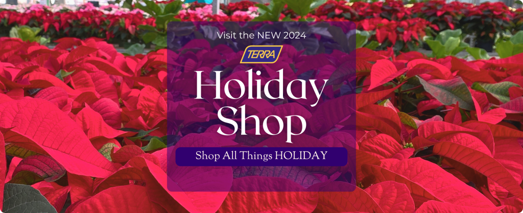 A mass of red poinsettias are shown in a greenhouse. Text: Visit the NEW TERRA Holiday Shop. Shop All things Holiday.