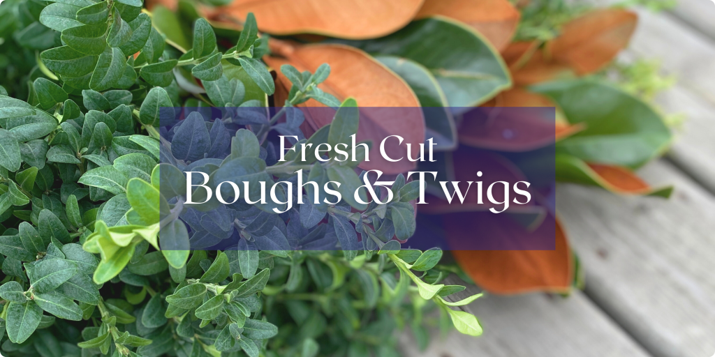 Cut boughs of english boxwood and magnolia leaves lay on a wood table. Text: Fresh Cut Boughs & Twigs.