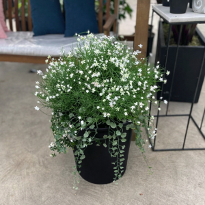 Mixed Planter (Artificial) - White Flowers