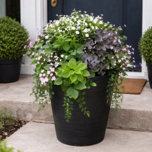 Our Featured Products