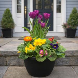 Our Featured Products