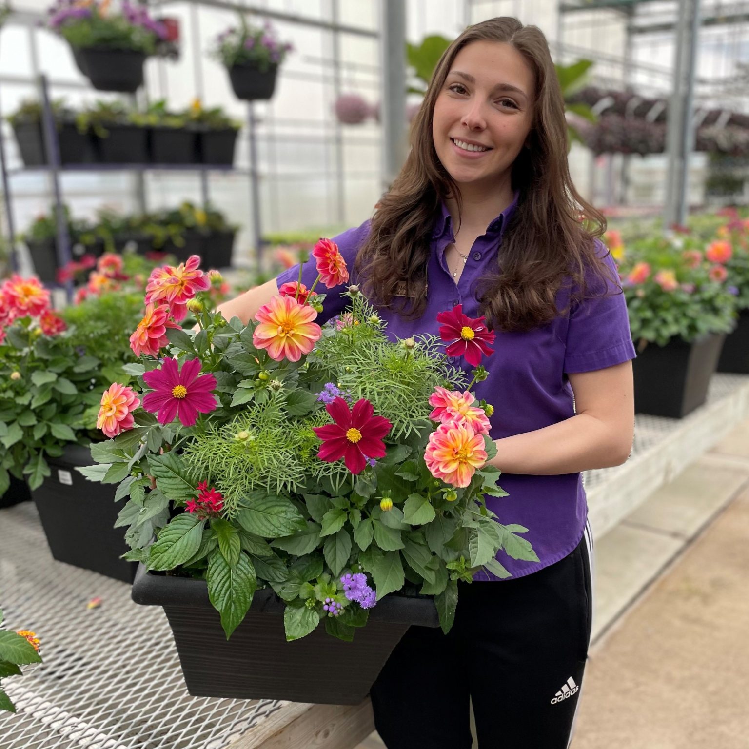 Seasonal Planters - TERRA Greenhouses